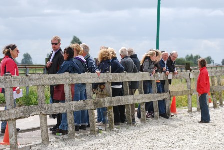 3. Veulenvisite