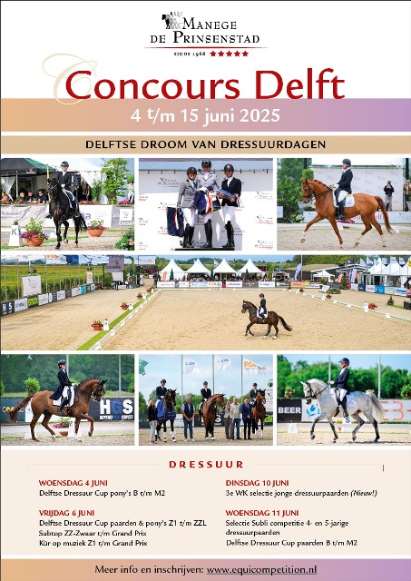 2025 concours delft dress