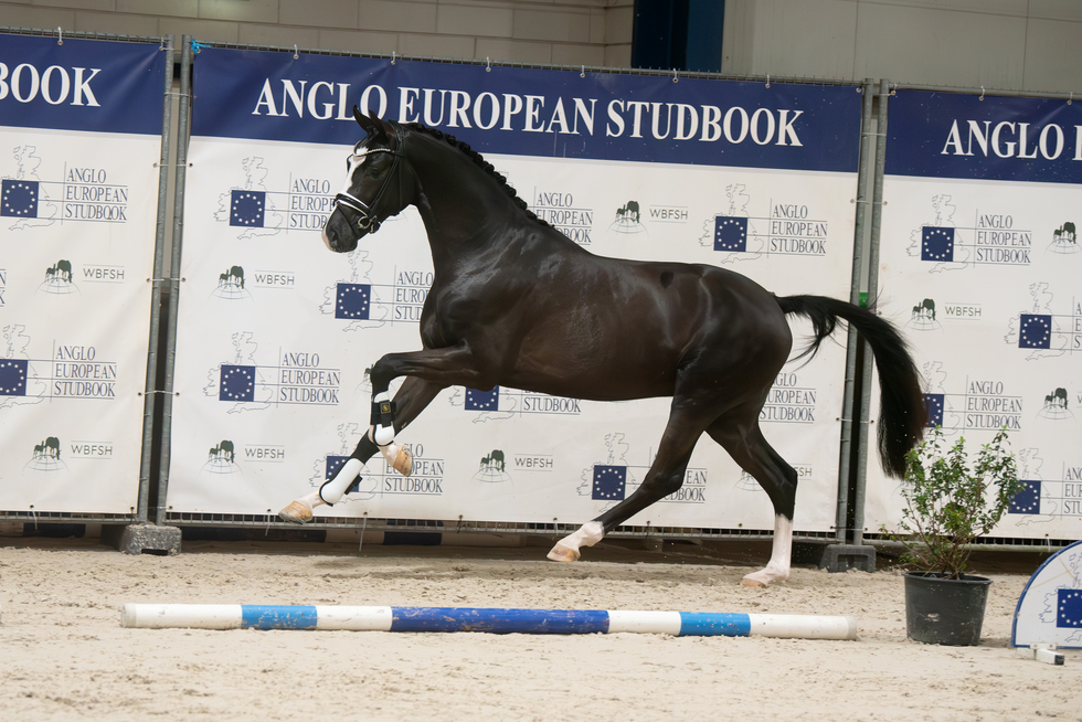 2025 so you can dance 3jpg