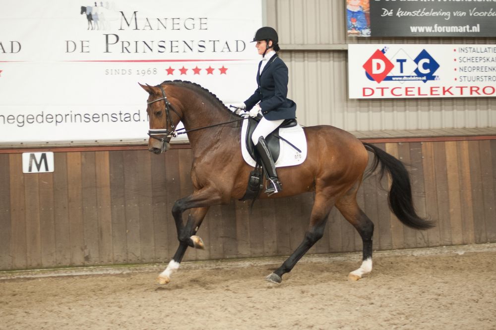 Winnaar 2012 Entertainer vivaldi x voltaire