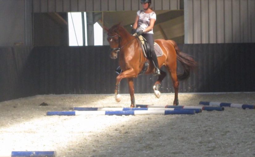 foto cavaletti