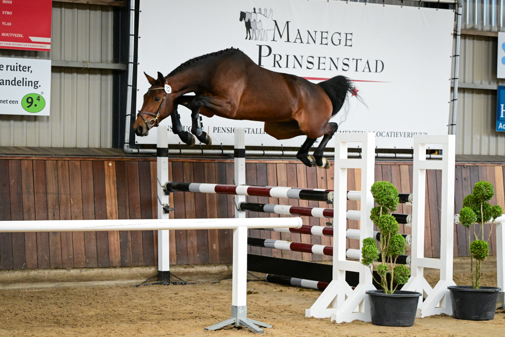 2025 VWF Springen 1 Subliem SMS