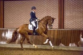 2026 Florence Sollenburg