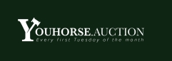 2025 logo youhorse klein